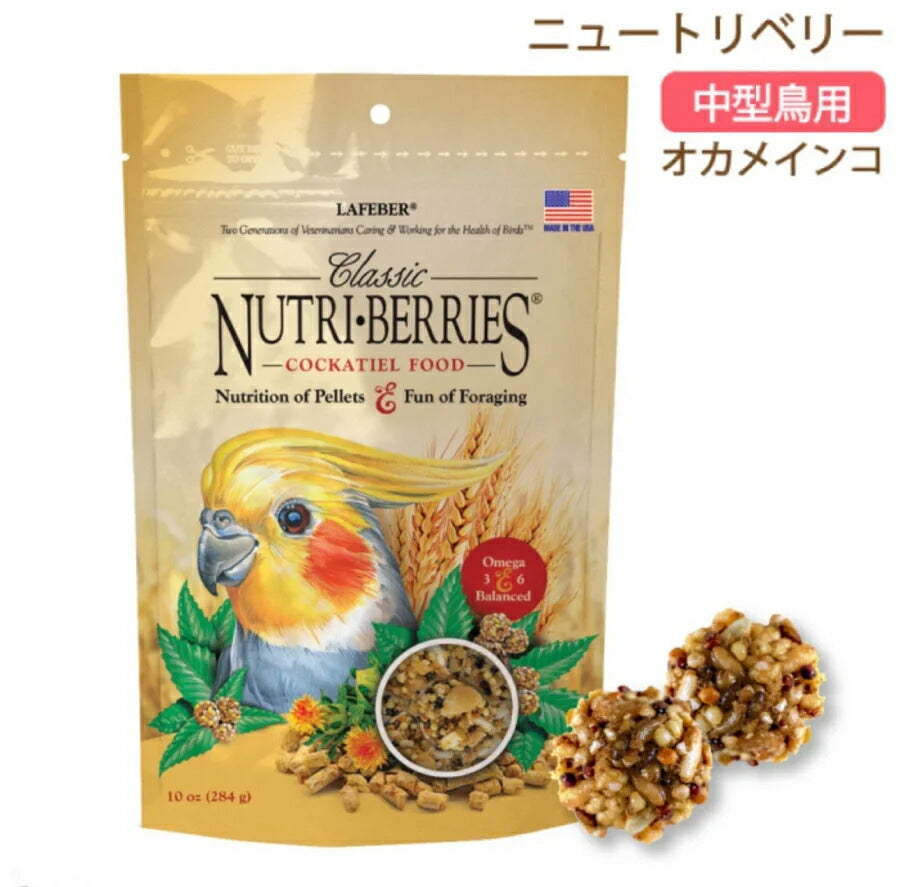 【ラフィーバ】ニュートリベリー オカメインコ 10oz(284g)41054817404