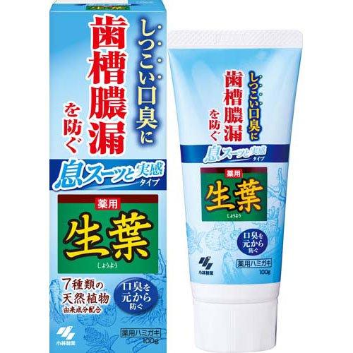 小林製薬 生葉I 息スーッと実感 100g 4987072060322