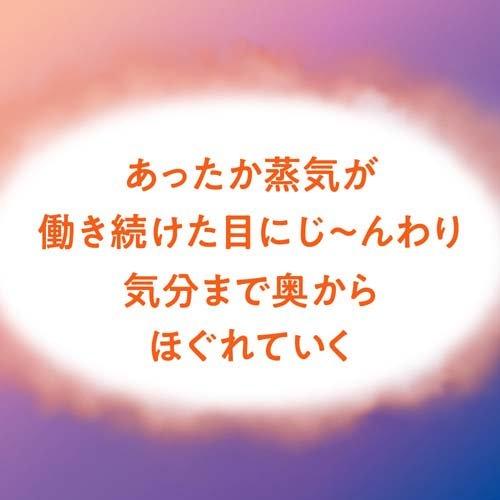 めぐりズム 蒸気でホットアイマスク ラベンダーの香り 12枚入 4901301348043