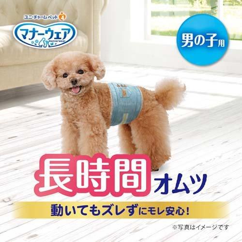 マナーウェア 長時間快適オムツ男の子用SS 44枚 4520699676851