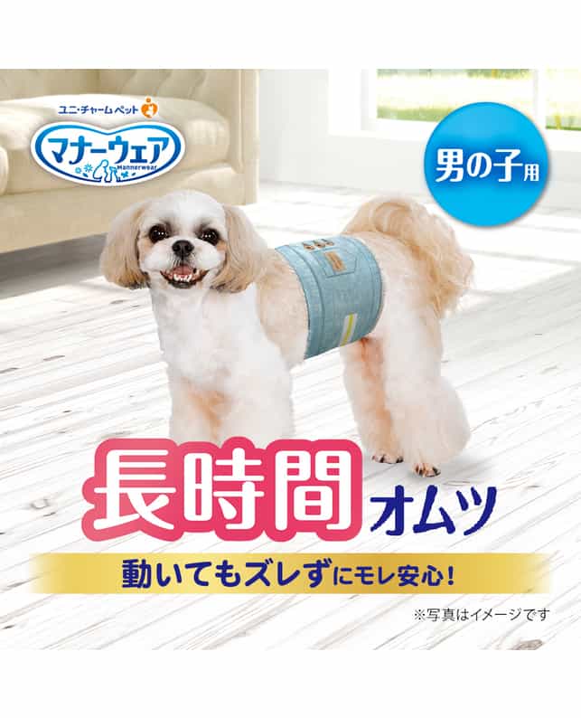 マナーウェア 長時間快適オムツ男の子用M 38枚 4520699677735