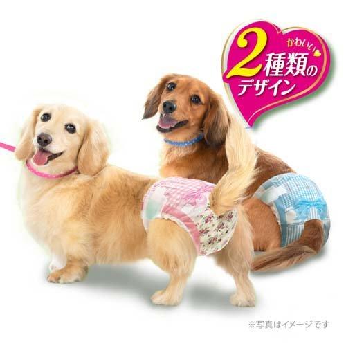 マナーウェア 女の子用Sピンクリボン・青リボン 36枚 4520699686003