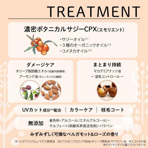 サロンスタイル ビオリス ボタニカル ポリッシュオイル (75ml) 4971710567847 スタイリング剤