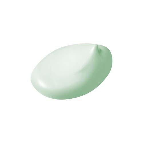 サンカットR トーンアップUV エッセンス ミントグリーン (80g) 4971710577730 紫外線 日焼け UVカット