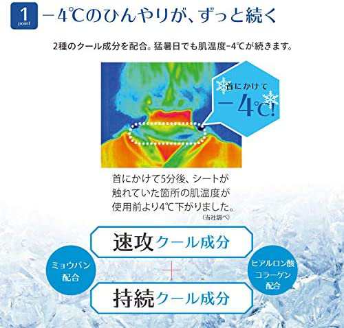 メール便 エスカラット 極寒タオル 5枚 4971710398724 熱中症対策 体感 冷たい