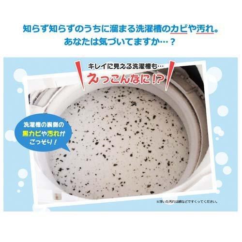 シャボン玉 洗たく槽クリーナー 500g 4901797100033