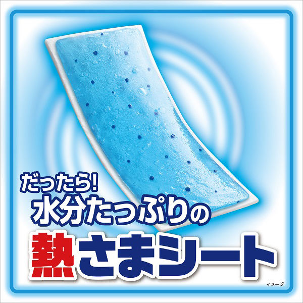 【数量限定・お得2P】小林製薬 熱さまシート 大人用 16枚×2コパック(4987072093061) 風邪 熱 熱中症対策