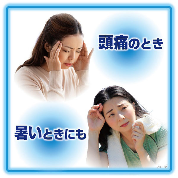 冷凍庫用 熱さまシートストロング 大人用 12枚 4987072048986 風邪 頭痛 熱中症 冷感