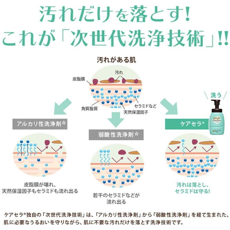 メール便 ロート製薬 ケアセラ 泡の高保湿ボディウォッシュ ボタニカルフラワーの香り つめかえ用 385mL 4987241167319