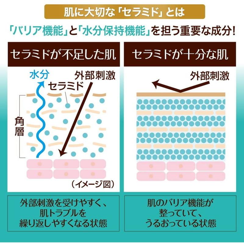 メール便 ロート製薬 ケアセラ 泡の高保湿ボディウォッシュ フルーティローズの香り つめかえ用 385mL 4987241167302