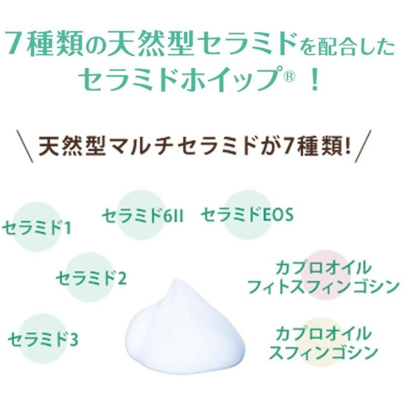 ロート製薬 ケアセラ 泡の高保湿ボディウォッシュ 450mL 4987241167197