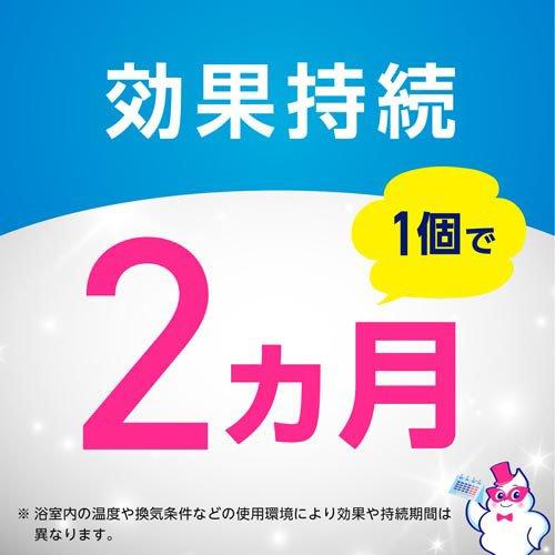 メール便 アース製薬 らくハピ お風呂の 排水口用 ピンク ヌメリ予防 防カビ プラス 4901080653413
