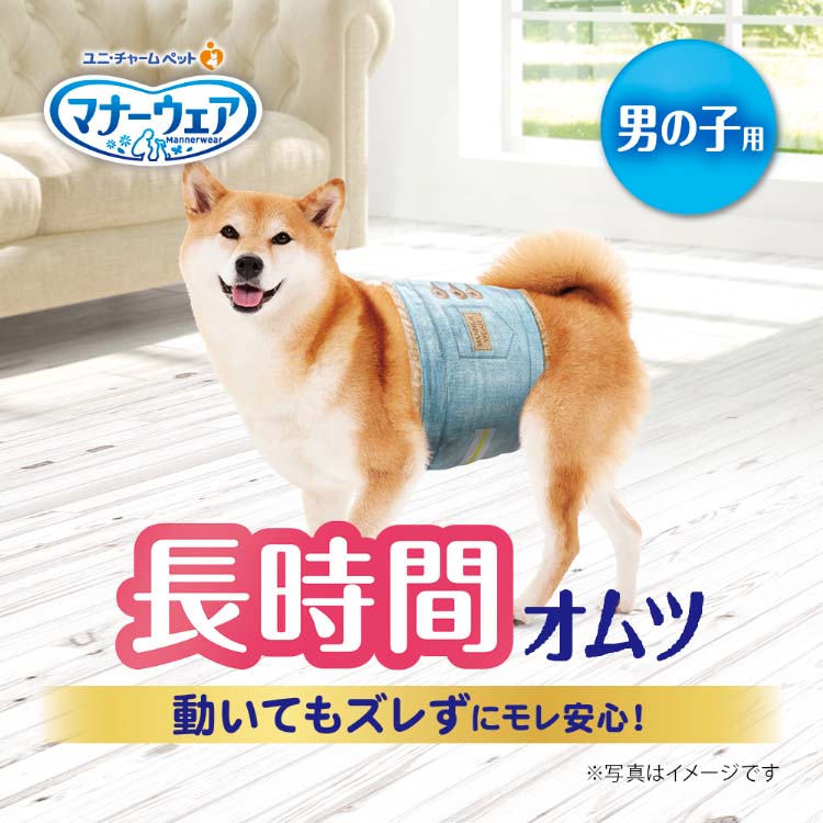 マナーウェア 長時間快適オムツ男の子用L 36枚 4520699678152 犬 ペット おむつ 旅行 散歩 お留守番