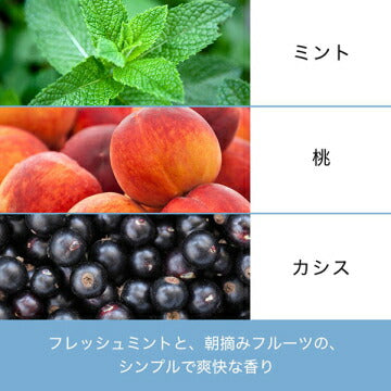 メール便 パンテーン ミセラー ピュア&クレンズ シャンプー 詰替 350ml 4987176055705