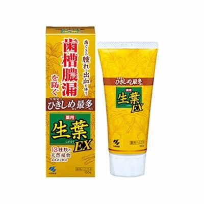 小林製薬 生葉EX 100g 4987072038826 医薬部外品