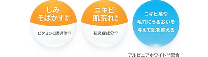 メール便 メラノCC 薬用 しみ対策 美白 化粧水 つめかえ用 170mL 4987241169672