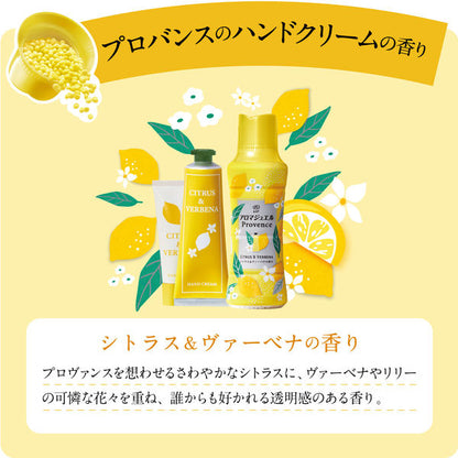 レノア ハピネス アロマジュエル 香り付け専用ビーズ シトラス 詰め替え 超特大(1410mL) 4987176228659 洗濯 洗剤 柔軟剤