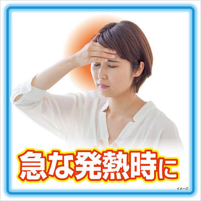 冷凍庫用 熱さまシートストロング 大人用 12枚 4987072048986 風邪 頭痛 熱中症 冷感