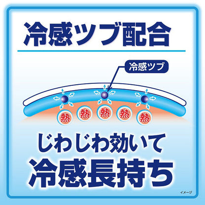 熱さまシート 大人用ミント 12枚 4987072085639 風邪 頭痛 熱中症 冷感