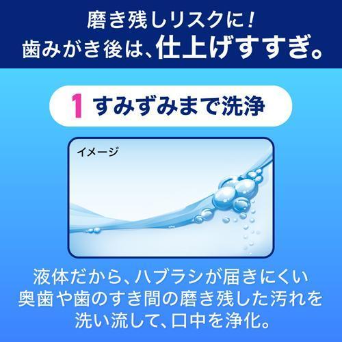 花王 クリアクリーン デンタルリンス ソフトミントの香味 1000ml 4901301263452 歯垢 歯肉炎 口臭 予防