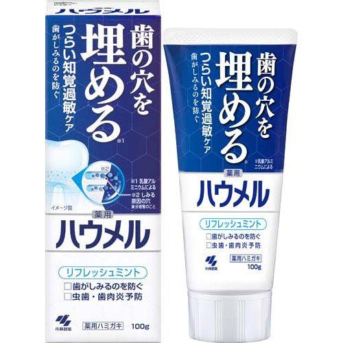 ハウメル 100g 知覚過敏ケア ペースト 薬用ハミガキ 歯の穴を埋める 4987072060674